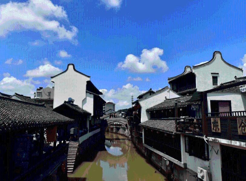 大金狮逃生